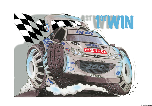 Peugeot 206 Rallye Blanche